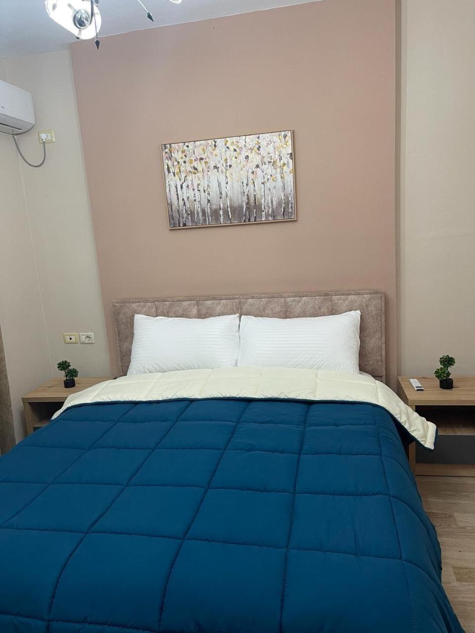 Comfort Apartment City Center Τίρανα Εξωτερικό φωτογραφία